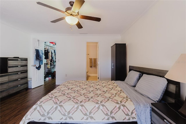 bedroom with dark wood finished floors, a spacious closet, a ceiling fan, ornamental molding, and a closet