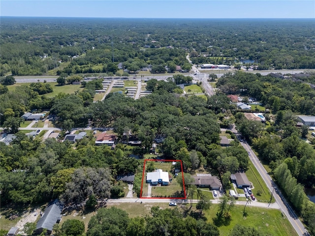 17111 Mockingbird Ln, Lutz, FL 33548 - bird's eye view with a forest view
