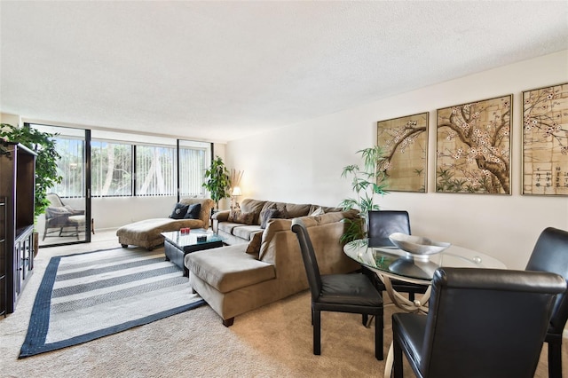 living area with light colored carpet and a textured ceiling