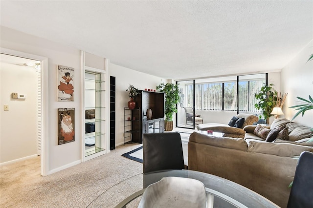 living area featuring light colored carpet, baseboards, and a textured ceiling
