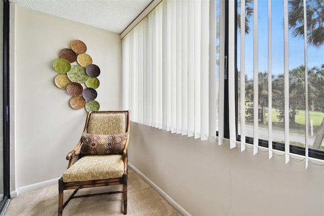 living area with baseboards, carpet, and a textured ceiling