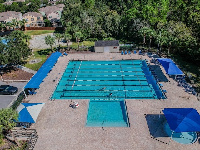 10011 Parley Dr, Tampa, FL 33626 - view of pool with fence