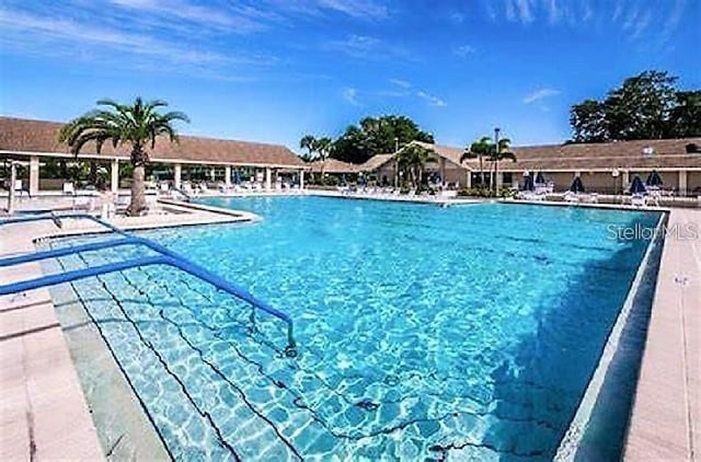 2869 Thistle Ct N, Palm Harbor, FL 34684 - view of community pool