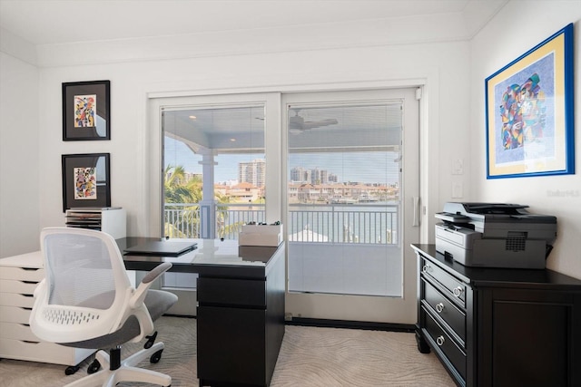 office space featuring plenty of natural light and light carpet