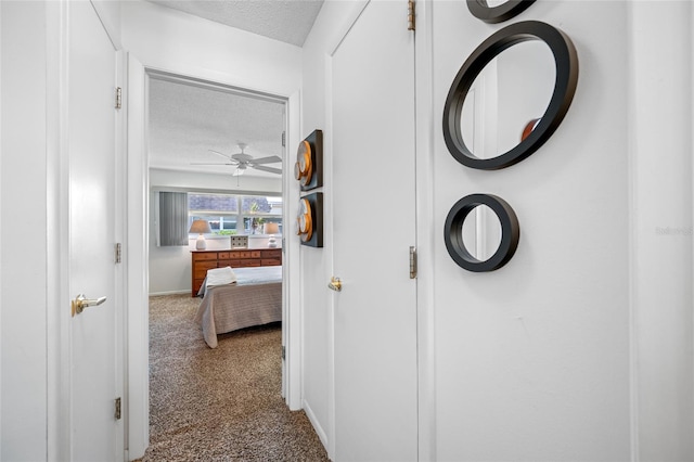 6920 Lafayette N Unit 6920, Pinellas Park, FL 33781 - hall with carpet, a textured ceiling, and baseboards