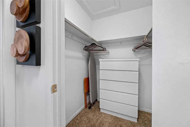 6920 Lafayette N Unit 6920, Pinellas Park, FL 33781 - walk in closet featuring carpet