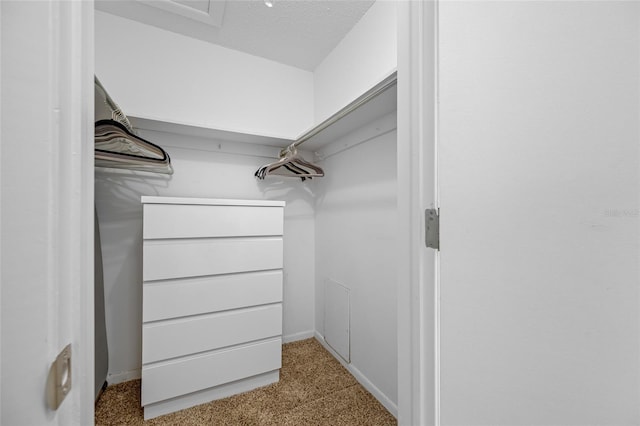 6920 Lafayette N Unit 6920, Pinellas Park, FL 33781 - spacious closet with carpet floors