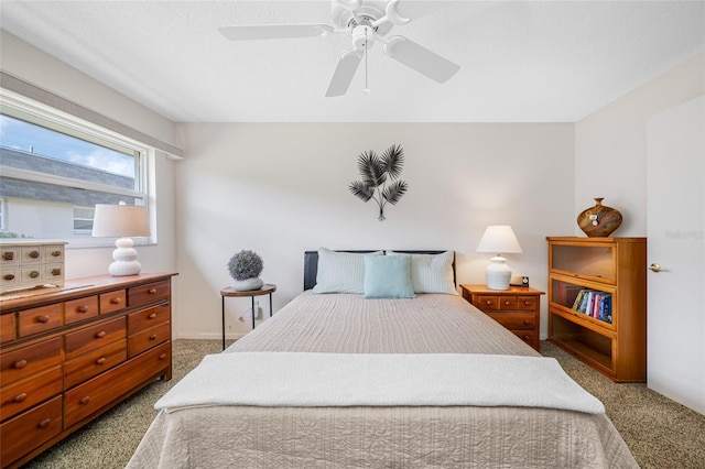 6920 Lafayette N Unit 6920, Pinellas Park, FL 33781 - bedroom with carpet flooring and a ceiling fan