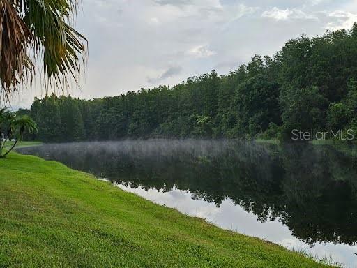 property view of water featuring a wooded view
