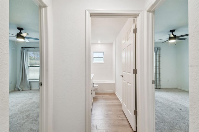 hall featuring light colored carpet, baseboards, and a healthy amount of sunlight