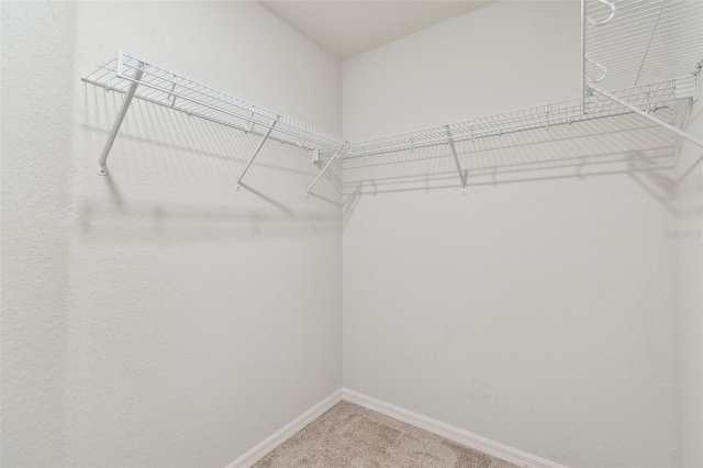 walk in closet featuring light carpet