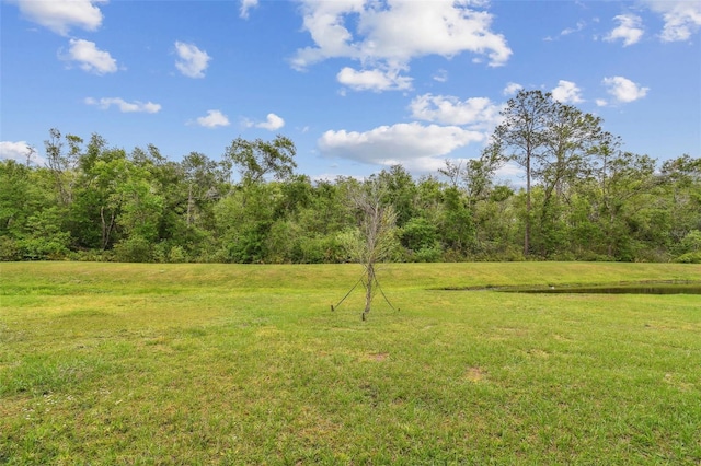view of yard featuring a forest view