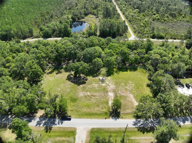 1426 Sierra Pines Blvd, Lutz, FL 33558 - photo 1