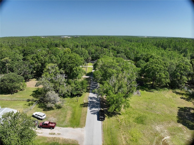 1426 Sierra Pines Blvd, Lutz, FL 33558 - photo 2