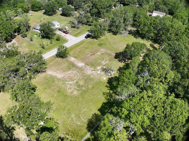 1426 Sierra Pines Blvd, Lutz, FL 33558 - photo 3