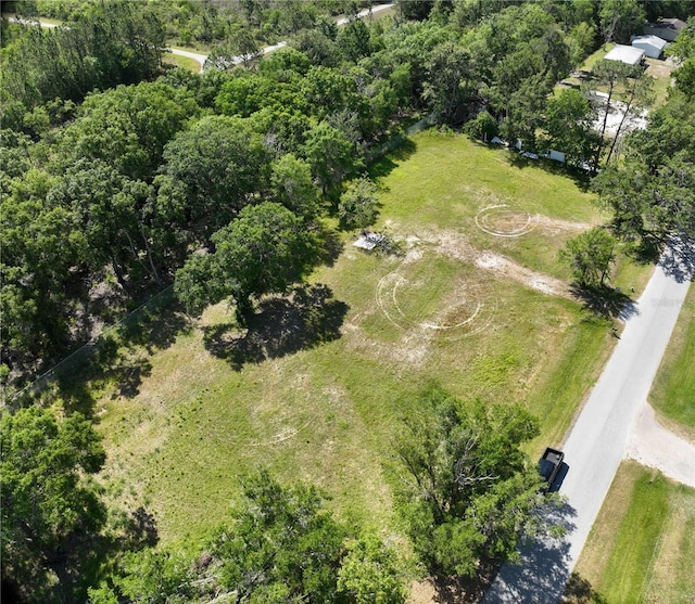 1426 Sierra Pines Blvd, Lutz, FL 33558 - photo 4