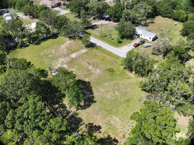 1426 Sierra Pines Blvd, Lutz, FL 33558 - photo 5