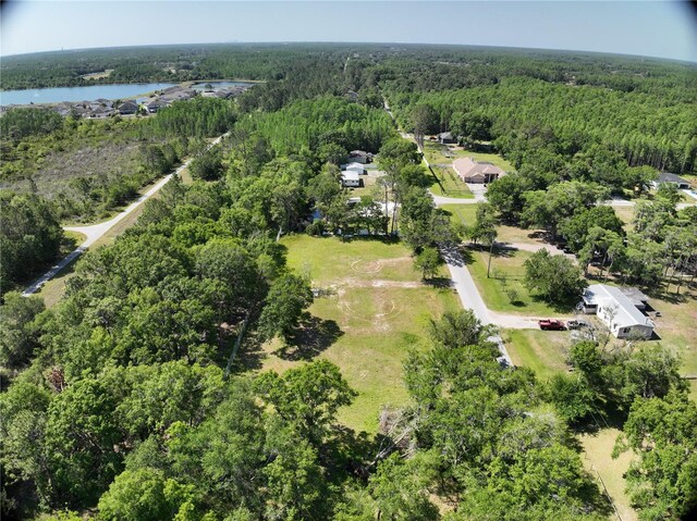 1426 Sierra Pines Blvd, Lutz, FL 33558 - photo 7