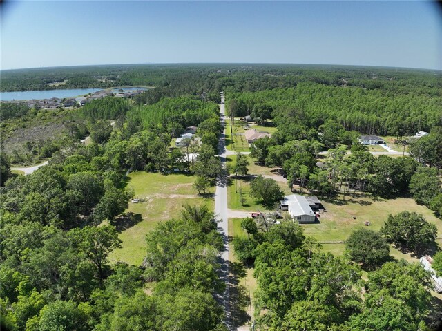 1426 Sierra Pines Blvd, Lutz, FL 33558 - photo 8