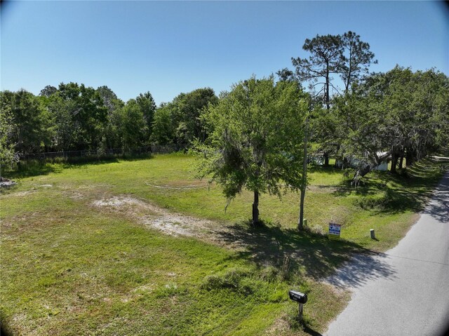 1426 Sierra Pines Blvd, Lutz, FL 33558 - photo 9