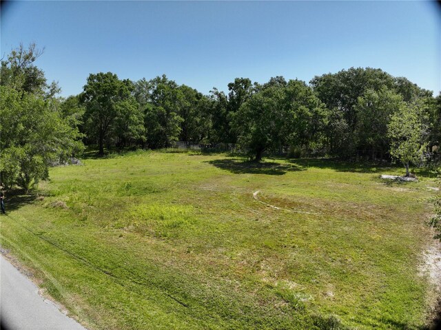 1426 Sierra Pines Blvd, Lutz, FL 33558 - photo 10