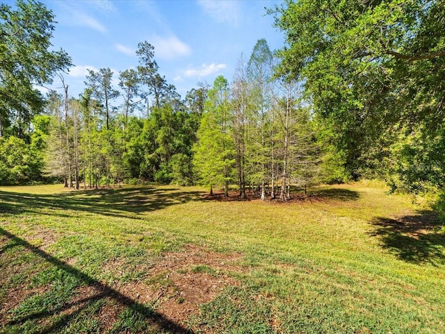 view of yard featuring a forest view