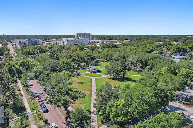 3027 Burlington Ave N, Saint Petersburg, FL 33713 - photo 45