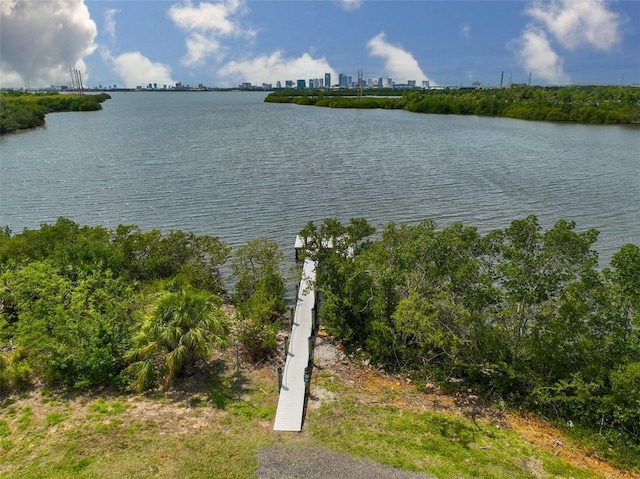 618 Wheaton Trent Pl, Tampa, FL 33619 - photo 45