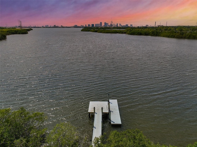 618 Wheaton Trent Pl, Tampa, FL 33619 - photo 48