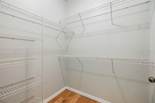 10103 Courtney Oaks Cir Unit 103, Tampa, FL 33619 - spacious closet with wood finished floors