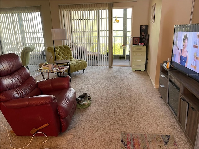 living room featuring light colored carpet