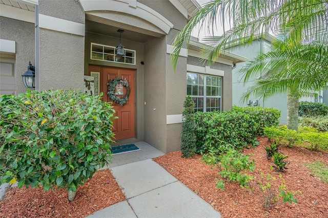 doorway to property featuring stucco siding