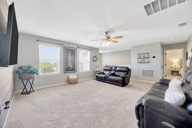12965 Satin Lily Dr, Riverview, FL 33579 - photo 34