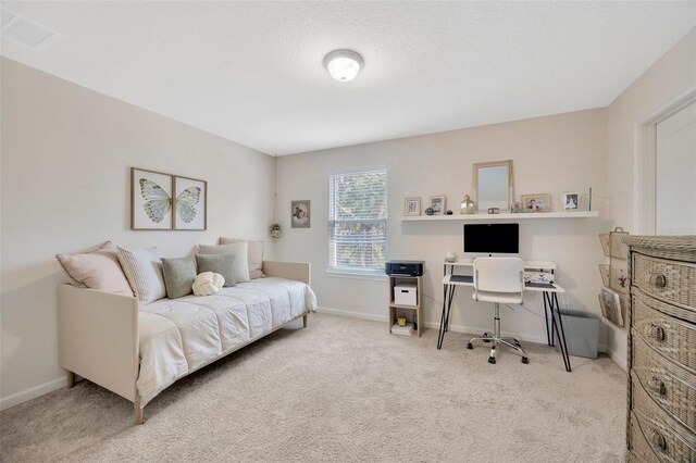 12965 Satin Lily Dr, Riverview, FL 33579 - photo 27