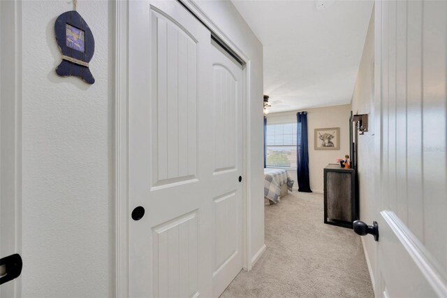 12965 Satin Lily Dr, Riverview, FL 33579 - photo 29