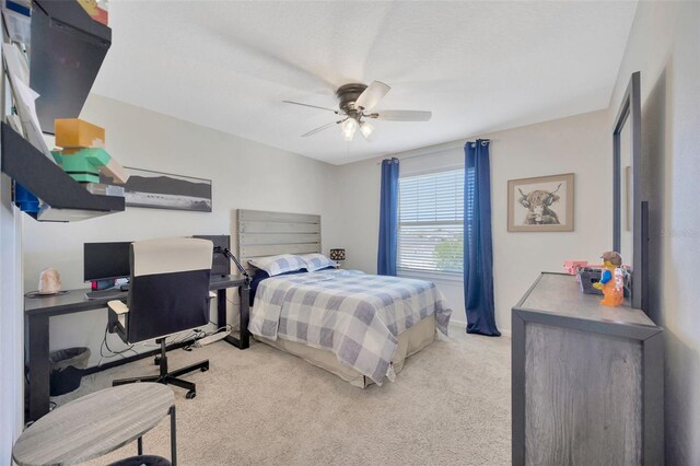 12965 Satin Lily Dr, Riverview, FL 33579 - photo 31