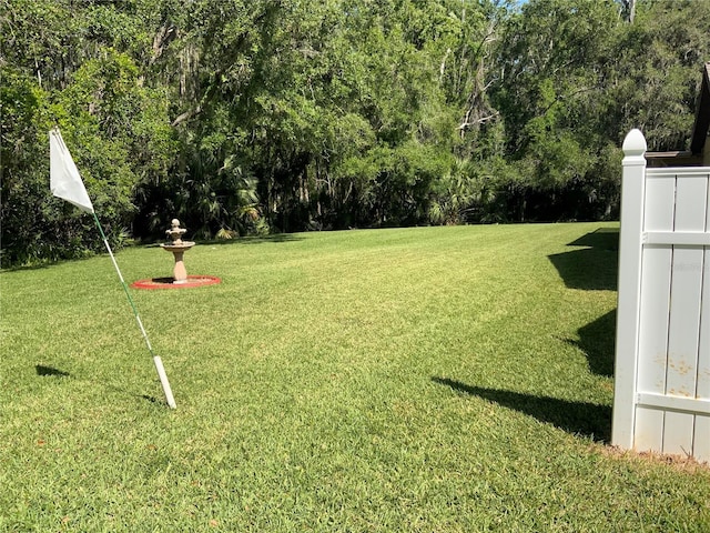 819 Satinleaf Ave, Oldsmar, FL 34677 - view of green lawn