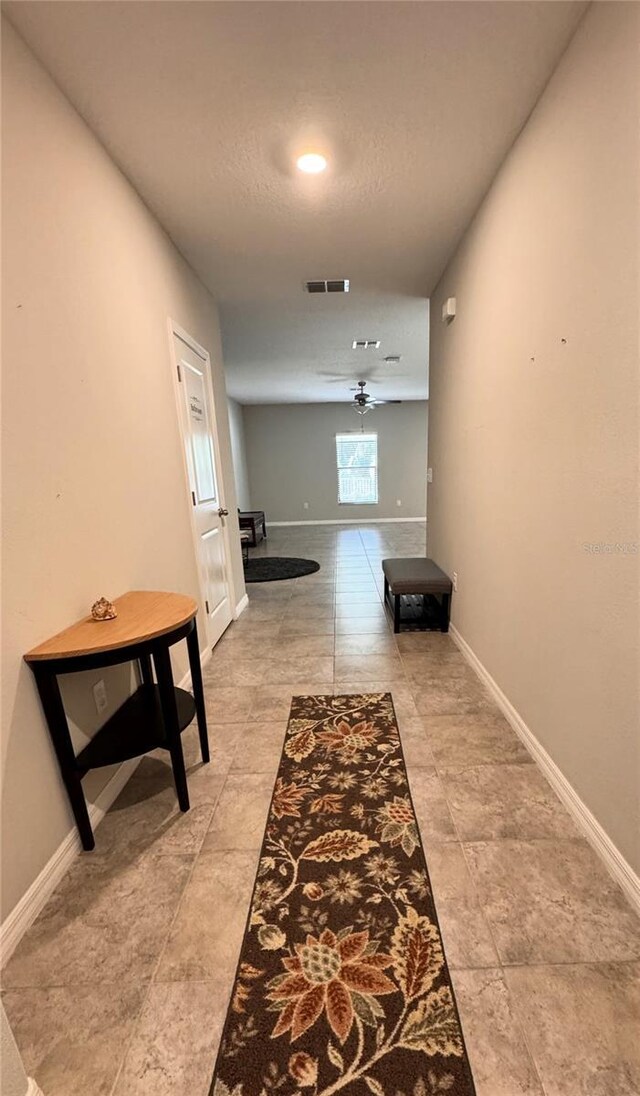 12717 Lemon Pepper Dr, Riverview, FL 33578 - hall with baseboards