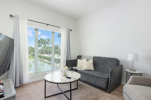 1105 Venetian Harbor Dr NE, Saint Petersburg, FL 33702 - living area featuring healthy amount of natural light, carpet floors, and baseboards