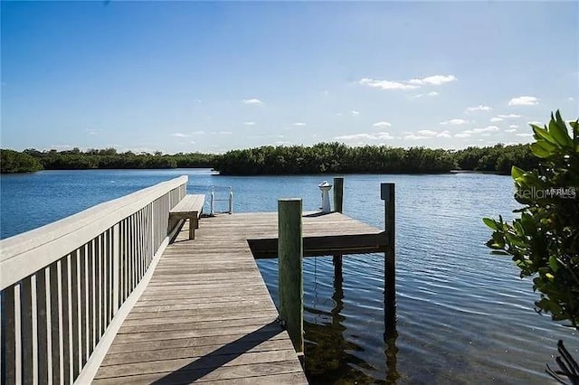 1105 Venetian Harbor Dr NE, Saint Petersburg, FL 33702 - dock area with a water view