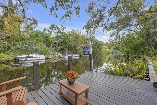 1214 E Park Cir, Tampa, FL 33604 - photo 4