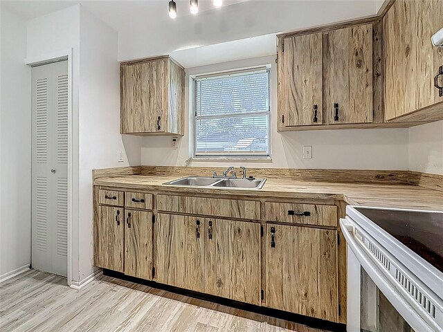 1444 Oak Haven Dr, Safety Harbor, FL 34695 - photo 13