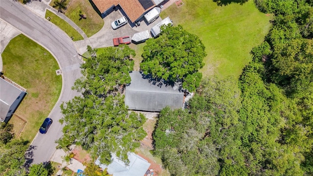1444 Oak Haven Dr, Safety Harbor, FL 34695 - photo 41