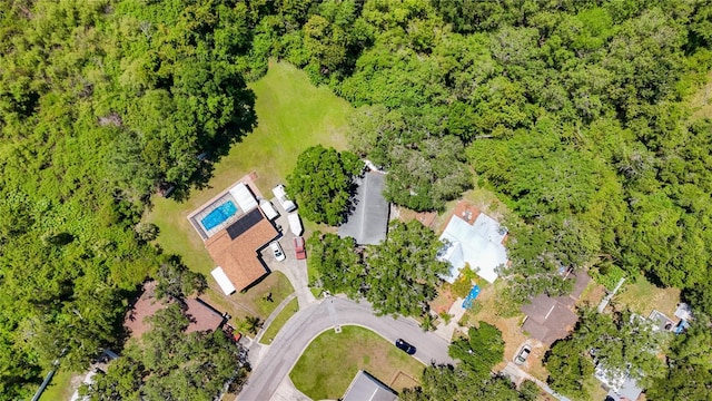 1444 Oak Haven Dr, Safety Harbor, FL 34695 - photo 44