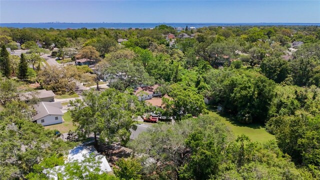 1444 Oak Haven Dr, Safety Harbor, FL 34695 - photo 45