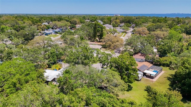 1444 Oak Haven Dr, Safety Harbor, FL 34695 - photo 46