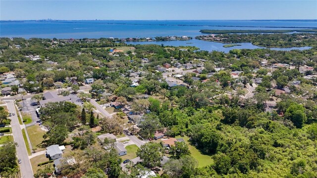 1444 Oak Haven Dr, Safety Harbor, FL 34695 - photo 47