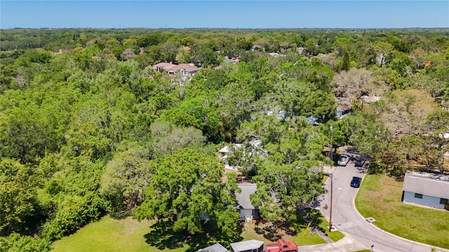 1444 Oak Haven Dr, Safety Harbor, FL 34695 - photo 43