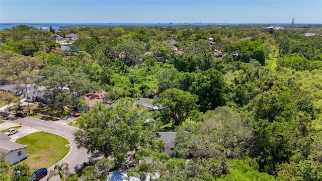 1444 Oak Haven Dr, Safety Harbor, FL 34695 - photo 42