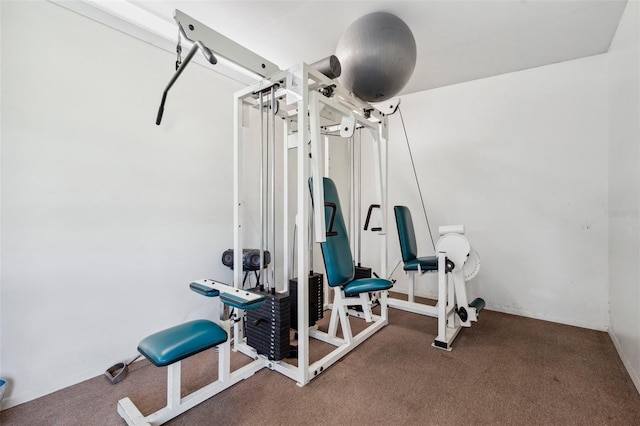 workout area featuring carpet flooring
